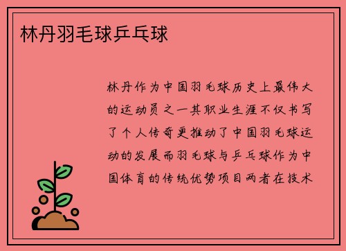 林丹羽毛球乒乓球