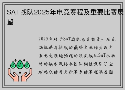SAT战队2025年电竞赛程及重要比赛展望